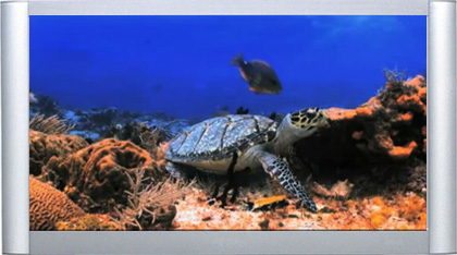 Amazon.com: BluScenes: Underwater Cozumel 1080p HD Blu-ray