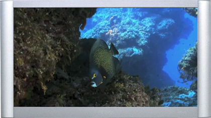 Blu-Ray HD Underwater Cozumel - BluScenes High Definition