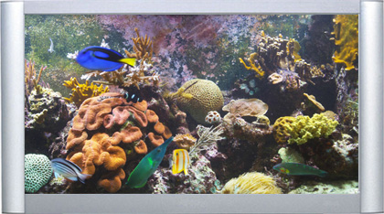 aquarium full hd 1080p blu ray movie